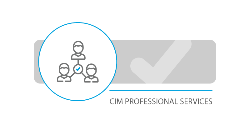 CIM Professional Services image