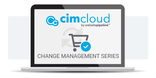 Change Management Series: Keys To Successfully Implementing Ecommerce In Your Business image
